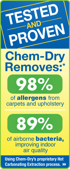 Upholstery Clean